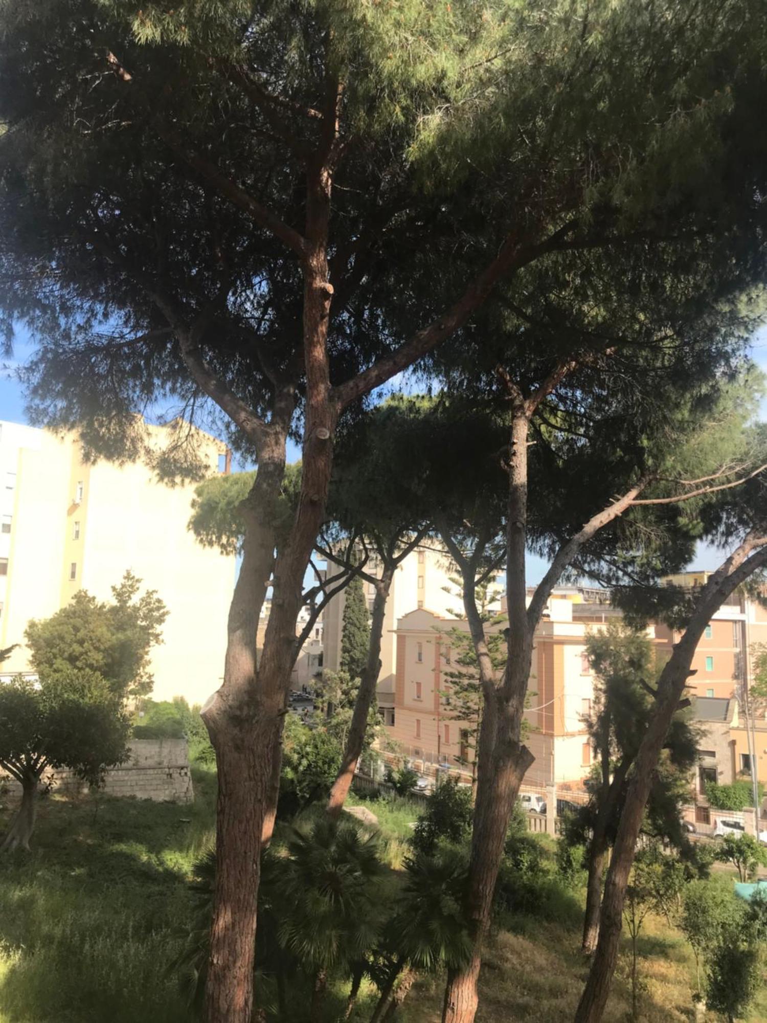 Villa San Giuseppe Brindisi Dış mekan fotoğraf